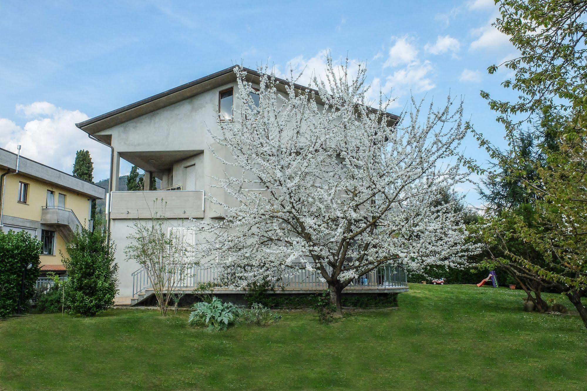 B&B I Fiori San Giustino Exterior photo